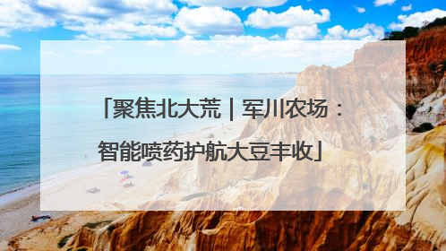 聚焦北大荒｜军川农场：智能喷药护航大豆丰收