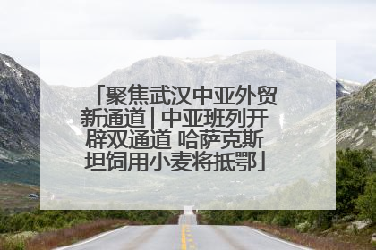 聚焦武汉中亚外贸新通道│中亚班列开辟双通道 哈萨克斯坦饲用小麦将抵鄂