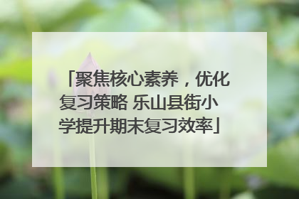 聚焦核心素养，优化复习策略 乐山县街小学提升期末复习效率