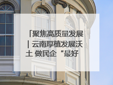 聚焦高质量发展｜云南厚植发展沃土 做民企“最好合伙人”