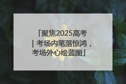 聚焦2025高考｜考场内笔落惊鸿，考场外心绘蓝图
