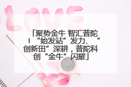 聚势金牛 智汇普陀〡“始发站”发力、“创新田”深耕，普陀科创“金牛”闪耀