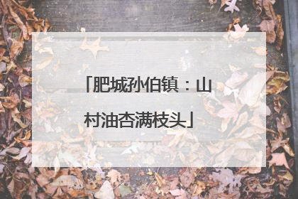 肥城孙伯镇：山村油杏满枝头