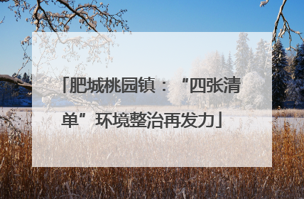 肥城桃园镇：“四张清单”环境整治再发力