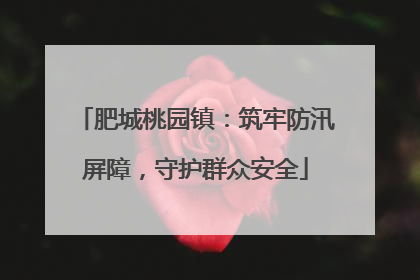 肥城桃园镇：筑牢防汛屏障，守护群众安全