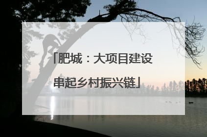 肥城：大项目建设串起乡村振兴链