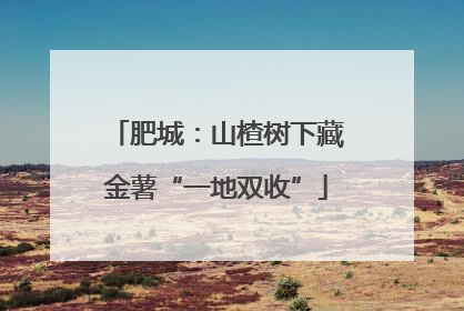 肥城：山楂树下藏金薯“一地双收”