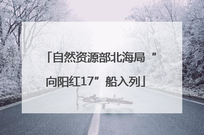 自然资源部北海局“向阳红17”船入列