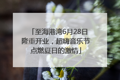 至海港湾6月28日隆重开业，超嗨音乐节点燃夏日的激情