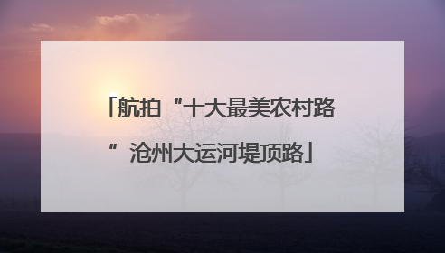 航拍“十大最美农村路”沧州大运河堤顶路
