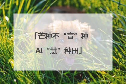 芒种不“盲”种 AI“慧”种田
