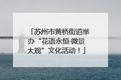 苏州市黄桥街道举办“花语永恒·微景大观”文化活动！
