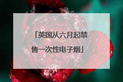 英国从六月起禁售一次性电子烟