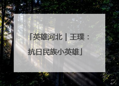 英雄河北｜王璞：抗日民族小英雄