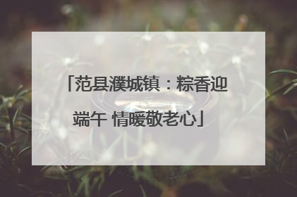 范县濮城镇：粽香迎端午 情暖敬老心