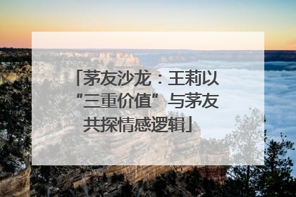 茅友沙龙：王莉以“三重价值”与茅友共探情感逻辑