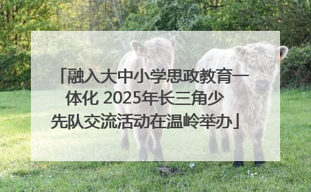 融入大中小学思政教育一体化 2025年长三角少先队交流活动在温岭举办