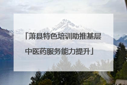 萧县特色培训助推基层中医药服务能力提升