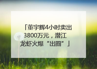 董宇辉4小时卖出3800万元，潜江龙虾火爆“出圈”