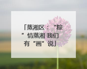 蒸湘区：“粽”情蒸湘 我们有“画”说