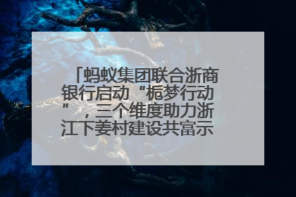 蚂蚁集团联合浙商银行启动“栀梦行动”，三个维度助力浙江下姜村建设共富示范区示范点