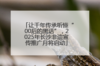 让千年传承听懂“00后的黑话”，2025年长沙非遗宣传推广月将启动