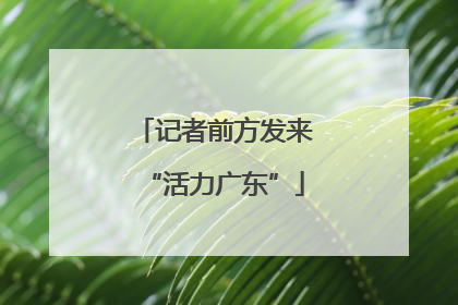 记者前方发来“活力广东”