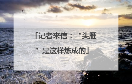 记者来信：“头雁”是这样炼成的