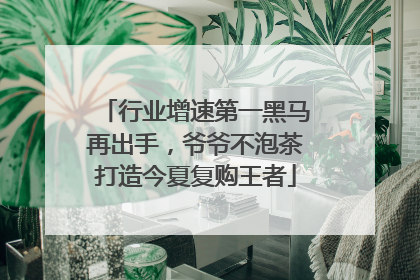 行业增速第一黑马再出手，爷爷不泡茶打造今夏复购王者
