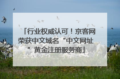 行业权威认可！京客网荣获中文域名“中文网址”黄金注册服务商