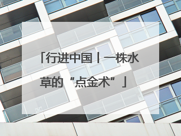 行进中国丨一株水草的“点金术”