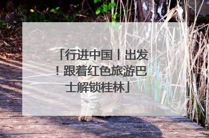 行进中国丨出发！跟着红色旅游巴士解锁桂林