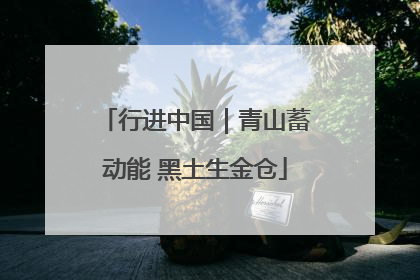行进中国｜青山蓄动能 黑土生金仓