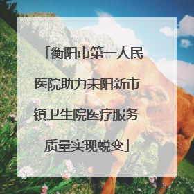 衡阳市第一人民医院助力耒阳新市镇卫生院医疗服务质量实现蜕变