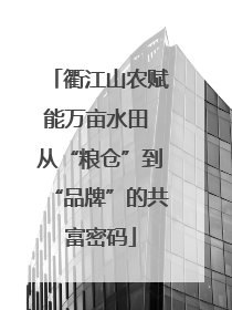 衢江山农赋能万亩水田 从“粮仓”到“品牌”的共富密码