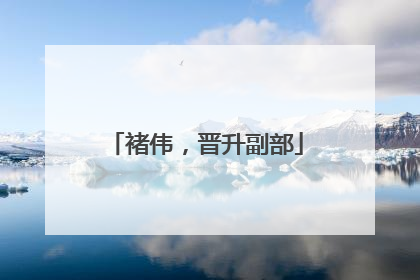 褚伟，晋升副部