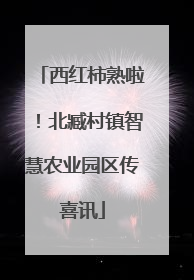 西红柿熟啦！北臧村镇智慧农业园区传喜讯