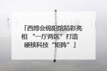 西博会绵阳馆精彩亮相 “一厅两区”打造硬核科技“矩阵”