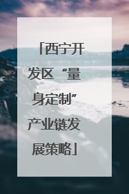 西宁开发区“量身定制”产业链发展策略