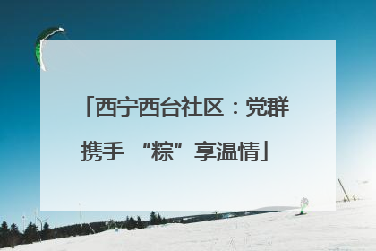 西宁西台社区：党群携手 “粽”享温情