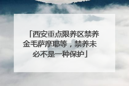 西安重点限养区禁养金毛萨摩耶等，禁养未必不是一种保护