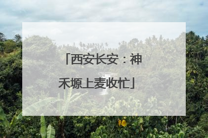 西安长安：神禾塬上麦收忙