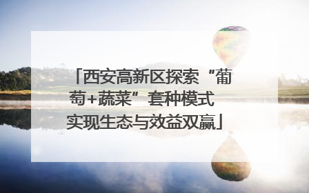 西安高新区探索“葡萄+蔬菜”套种模式 实现生态与效益双赢