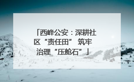 西峰公安：深耕社区“责任田” 筑牢治理“压舱石”