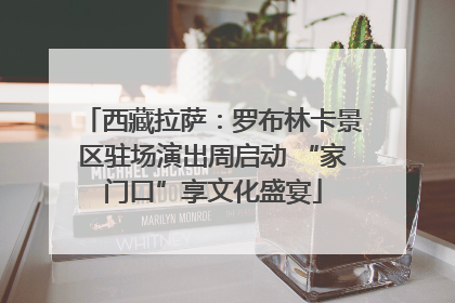 西藏拉萨：罗布林卡景区驻场演出周启动 “家门口”享文化盛宴