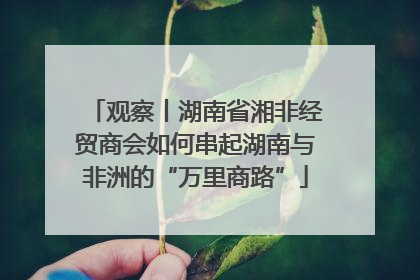 观察丨湖南省湘非经贸商会如何串起湖南与非洲的“万里商路”