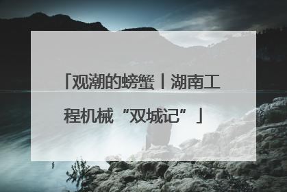观潮的螃蟹丨湖南工程机械“双城记”