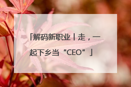 解码新职业丨走，一起下乡当“CEO”