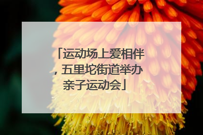 运动场上爱相伴，五里坨街道举办亲子运动会