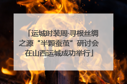 运城时装周·寻根丝绸之源“半颗蚕茧”研讨会在山西运城成功举行